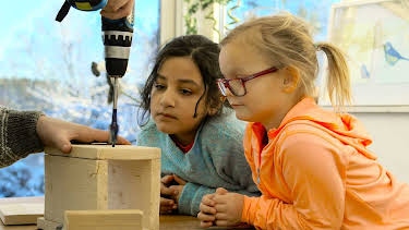 17:30: Gode venner: Fuglekasse | NRK Tegnspraak | 4/6 2026