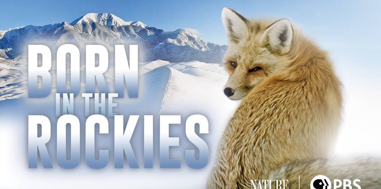 Born in the Rockies