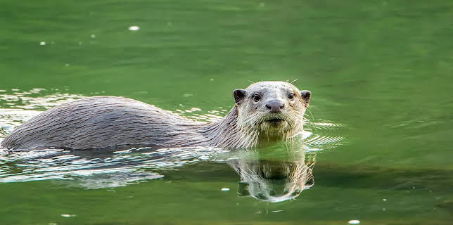 17:00: BINGO! - Die Umweltlotterie | Radio Bremen | 1/4 2026