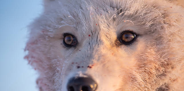 02:50: Ein perfekter Planet (2/5) | 3SAT | 11/6 2025