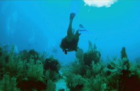 Mexico Life: Episode 3