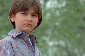 Wild Fire: Season 1: Trust