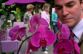 Desperate Housewives -  Season 1: Fear No More