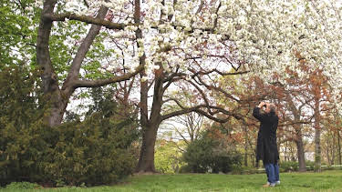 22:45: Capriccio | ARD Alpha | 4/26 2026