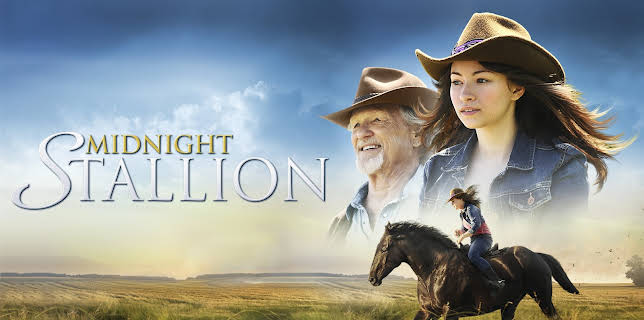 Midnight Stallion (2013)