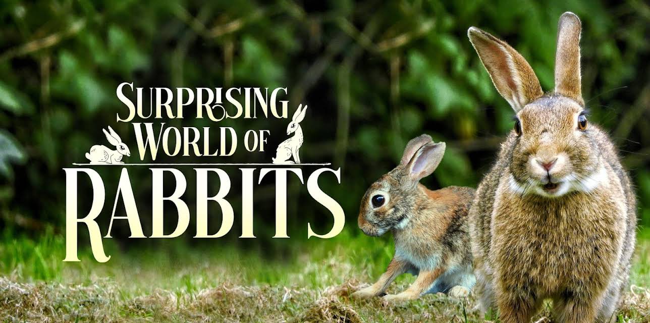 The Surprising World of Rabbits (2018)