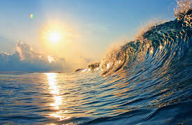 Mastering Tai Chi: Bring Out Your Flow