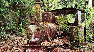 16:40: Verborgen im Dschungel - Geheimnisse aus der Vergangenheit | Kabel Eins Doku | 4/17 2026