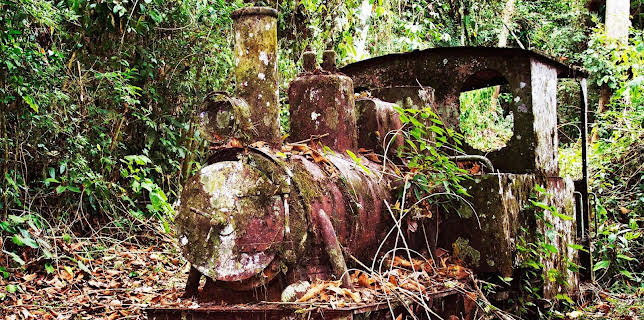 07:55: Verborgen im Dschungel - Geheimnisse aus der Vergangenheit | Kabel Eins Doku | 1/8 2026