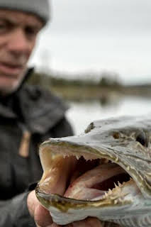 09:04: Aguas profundas con Jeremy Wade: Un depredador de la era glacial | Discovery Max | 6/28 2026