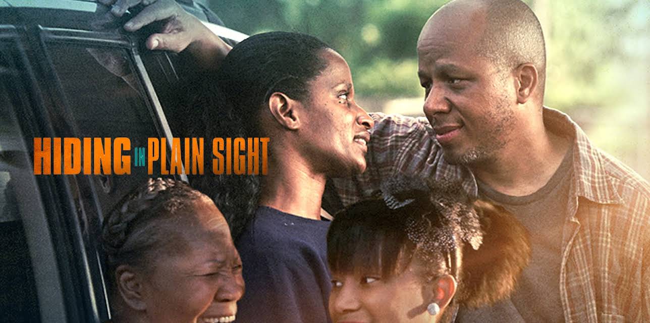 Hiding in Plain Sight (2012)