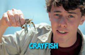 Nature of God: Season 1: Bugs, Bogs, and Spiky Beasts