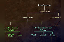The Celtic World: Celtic Languages in the Ancient World