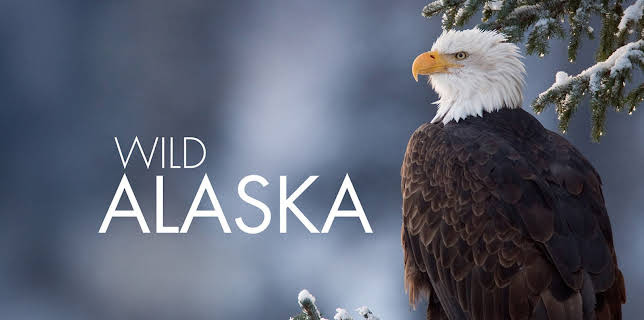 Wild Alaska
