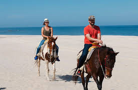 Off The Grid On The Beach, Season 1: Traffic to Off-Roading in Cabo