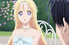 Doctor Elise: The Royal Lady with the Lamp: A Gamble