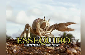 Essequibo - Hidden River: The Vast Delta