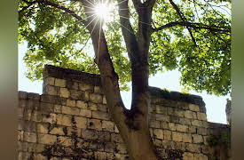 The Great Tours: Experiencing Medieval Europe: York: Vikings and Merchants