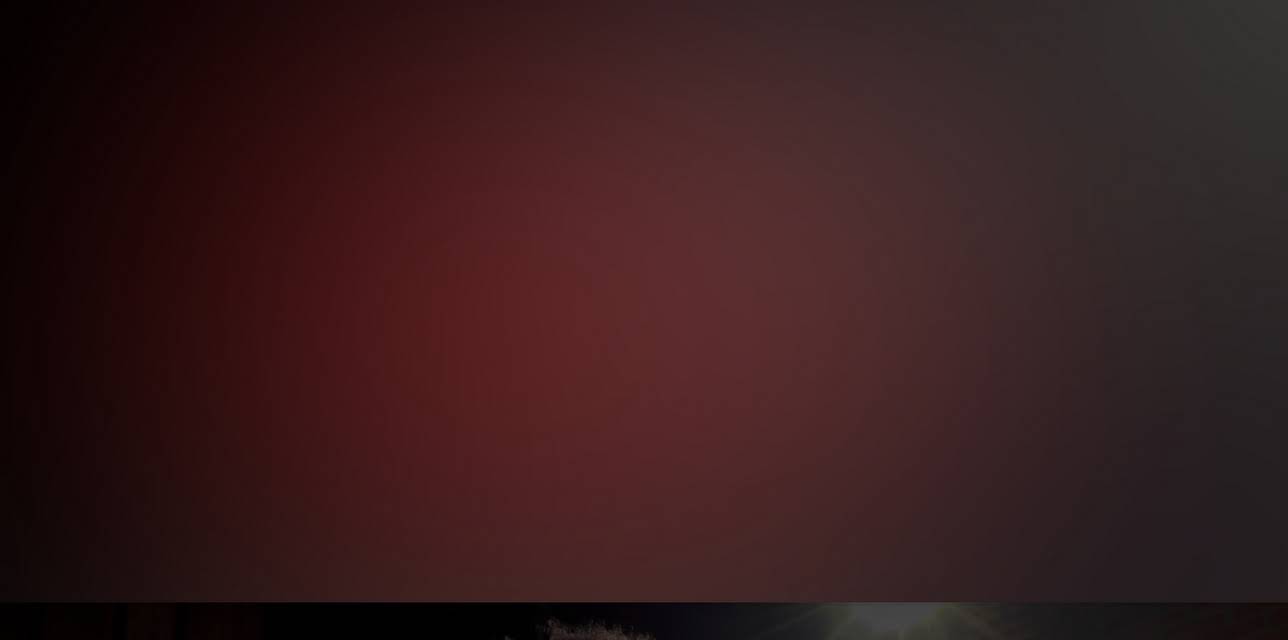 Mestrinho - Da Pá Virada Sessions (2019)