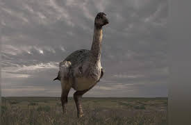 Over Australia: Surviving the Arid Heart