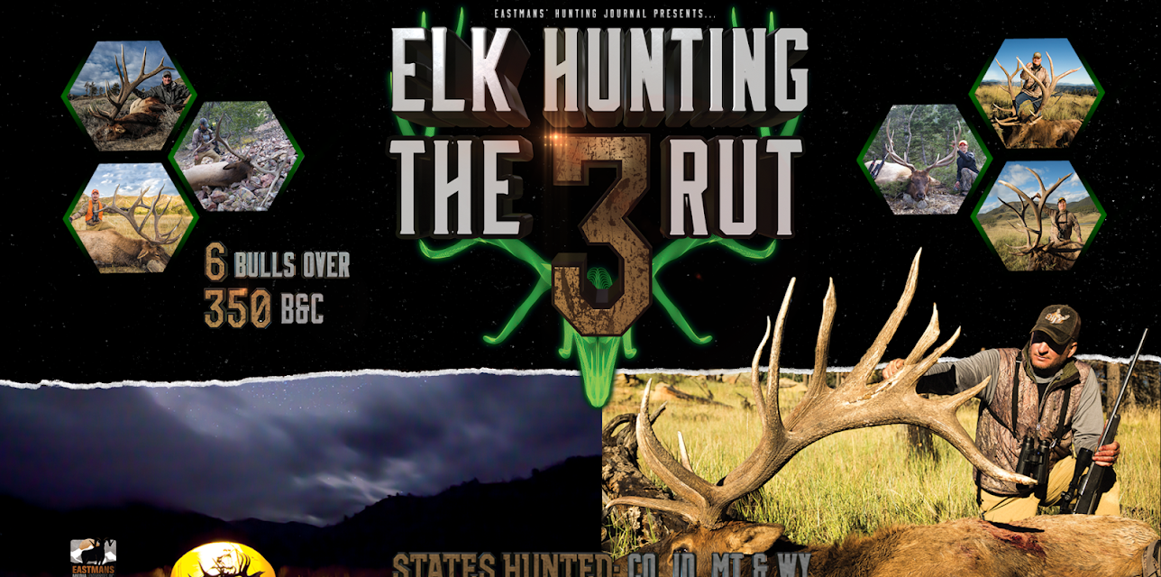 Elk Hunting the Rut 3 (2018)