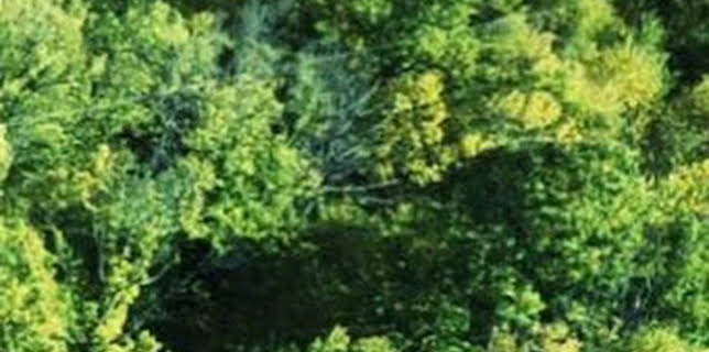 00:04: Paisaje natural | Canal Extremadura | 12/27 2025