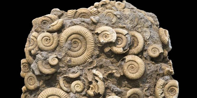 3:30 PM: How It's Made (S10 E9) (S10) | Discovery Channel | 3/12 2026