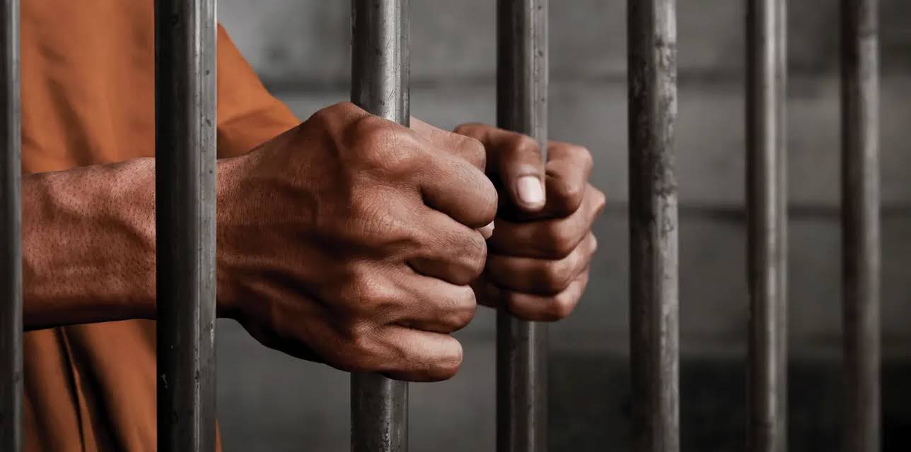 Guilty Until Proven Guilty (2019)