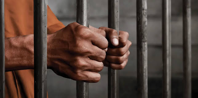 Guilty Until Proven Guilty (2019)