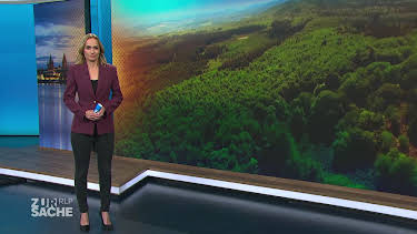 08:15: Zur Sache Rheinland-Pfalz! | Tagesschau 24 | 10/11 2026