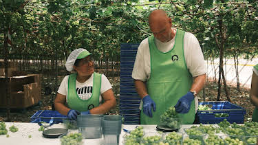 4:30 AM: Tom Kerridge Cooks... (S2 E4) (S2) | ITV | 4/4 2026