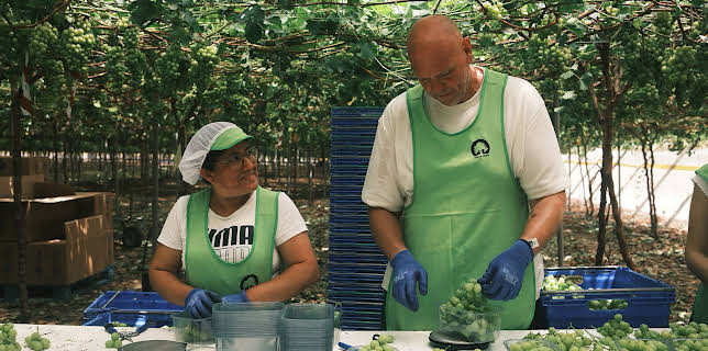 3:25 AM: Tom Kerridge Cooks... (S2 E4) (S2) | ITV4 | 11/29 2025