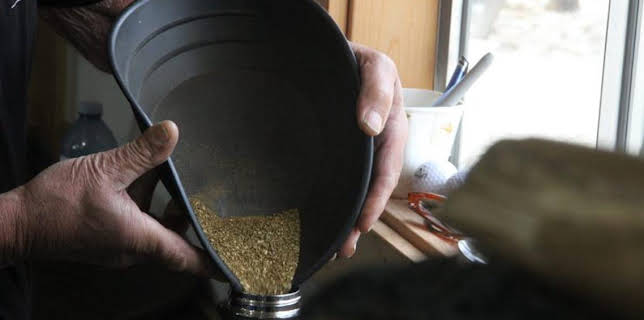 1:00 PM: Gold Rush (S12) | Discovery Channel | 3/12 2026