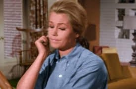 Bewitched: Season 1: A Is For Aardvark