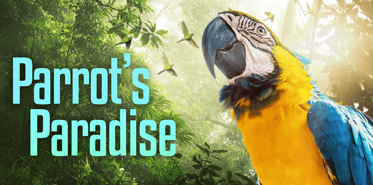Parrot's Paradise (2019)