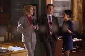 The Good Wife: Running