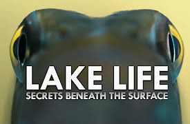 Lake Life: Secrets Beneath the Surface: Lakes of the Coasts