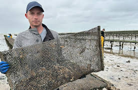 Britain's Most Scenic Counties: Kent: Series 1: Episode 3