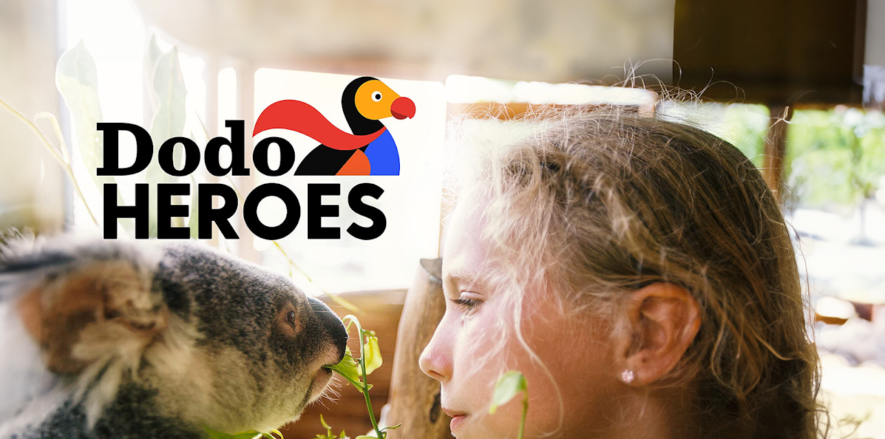 Dodo Heroes Season 1