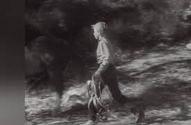 The Adventures of Champion, The Wonder Horse: Brand of Lawless