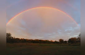 The Reality of Noah's Ark: The Biblical Account of Noah's Life