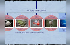 The Reality of Noah's Ark: The Animals