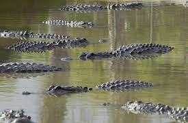 Mysteries at the National Parks Season 1: Flight to Hell