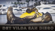 Världens natur: Vilda San Diego