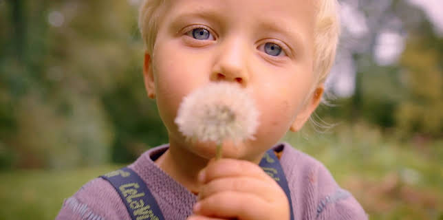 10:50: Raus aufs Land (4/4) | WDR Fernsehen | 3/14 2026