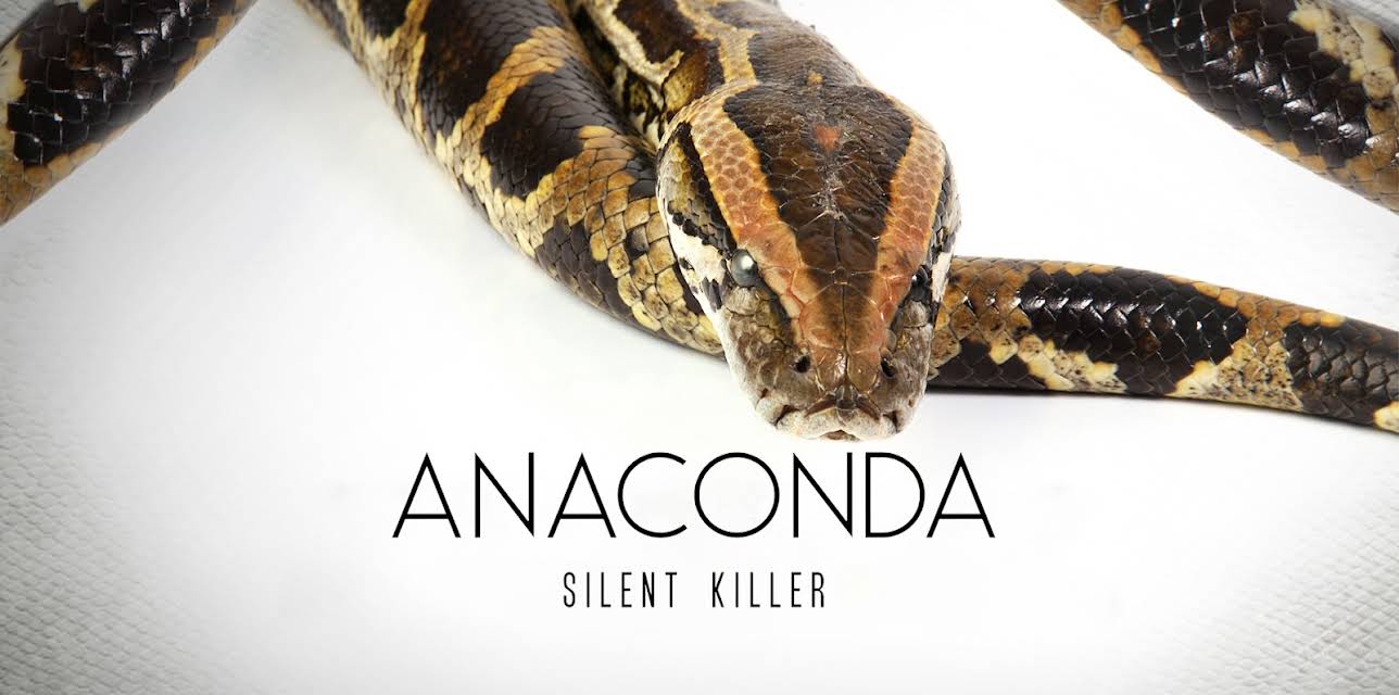 Anaconda: Silent Killer (2014)