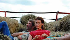 Der Duft von Holunder