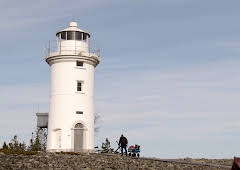 Renoveringsdrømmer Sverige