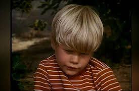 Marcus Welby, M.D. Season One: The Foal