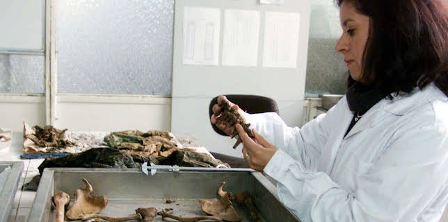 17:05: Verborgen im Eis: Geheimnisse aus der Vergangenheit | Kabel Eins Doku | 12/28 2025